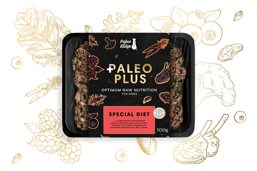 Paleo Plus Special Diet