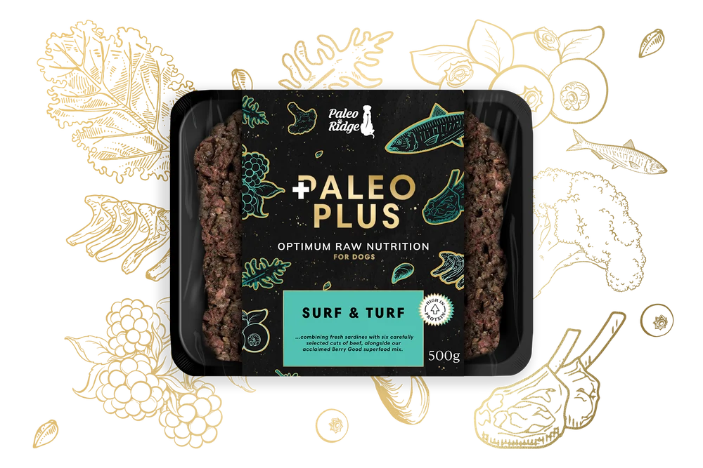 Paleo Plus Surf & Turf