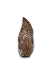Beef Udder Steak
