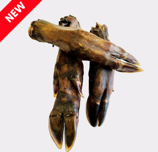 Wild Boar Leg – Raw Paws Emporium