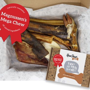 Magnussen's Mega Chew' Dog Treat Box