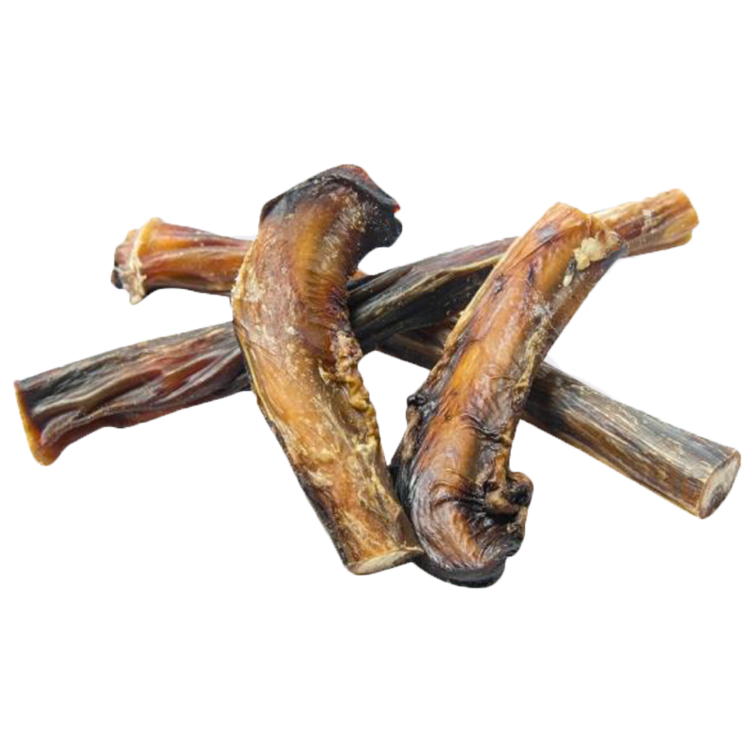 Pizzles Bully Sticks Raw Paws Emporium