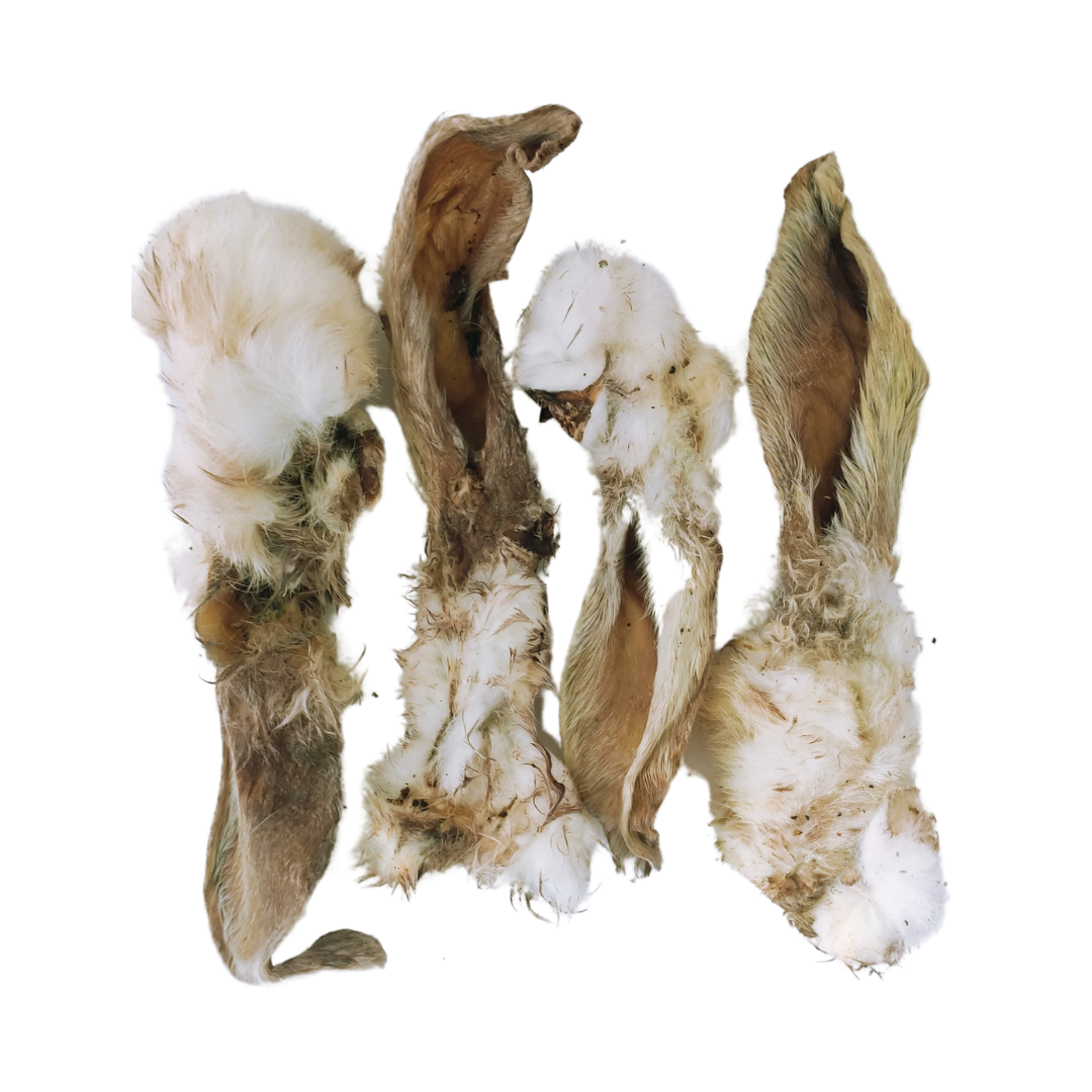 Dried rabbit online ears for dogs