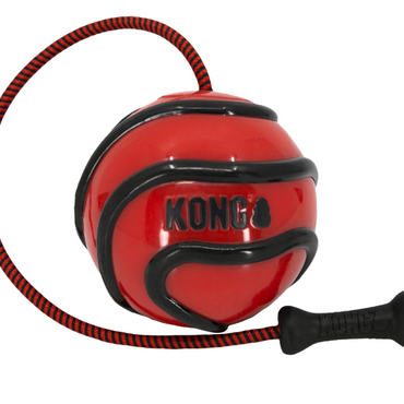 KONG® WAVZ BUNJIBALL