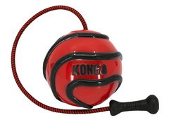 KONG® WAVZ BUNJIBALL