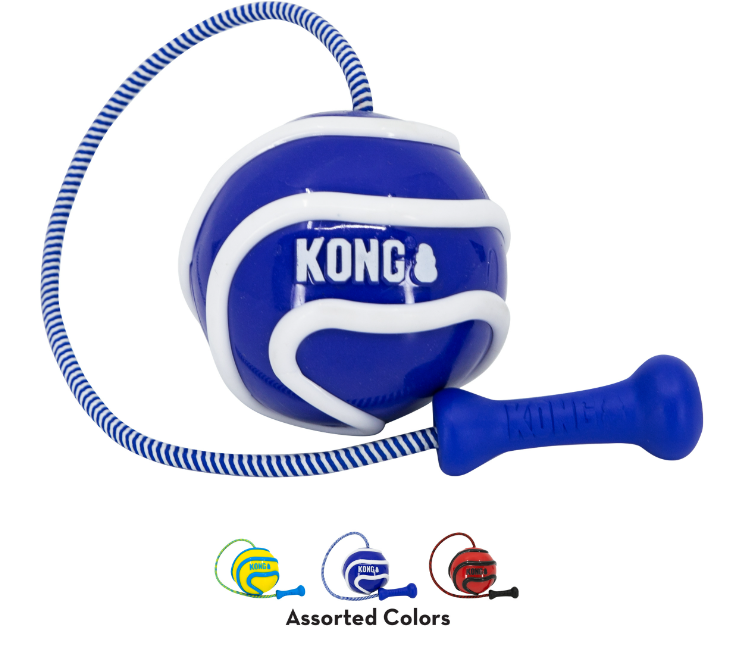 KONG® WAVZ BUNJIBALL