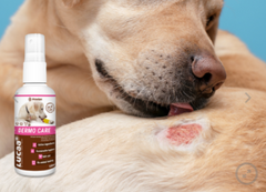 LUCAA+ Pet Probiotic Dermo (Wound) Care (excl. 20% VAT)