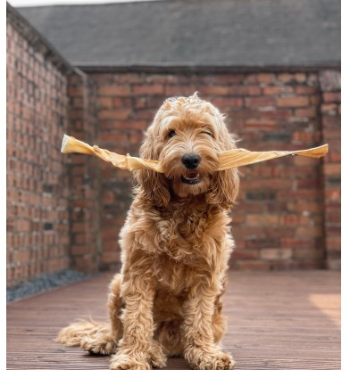 Giant Buffalo Jerky Stick