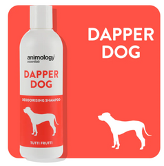 Animology - Essentials Dapper Dog Shampoo (excl. 20% VAT)