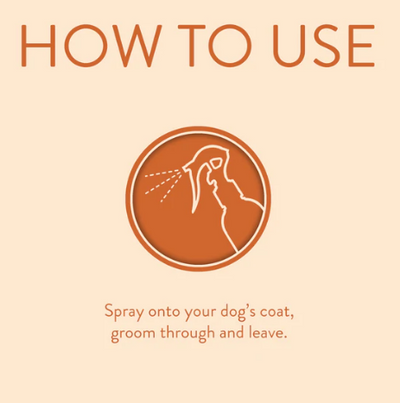 Animology - Dirty Dawg No Rinse Shampoo (excl. 20% VAT)