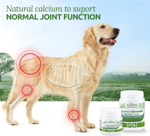 Eggshell Powder - Natural Calcium Supplement (excl. 20% VAT)