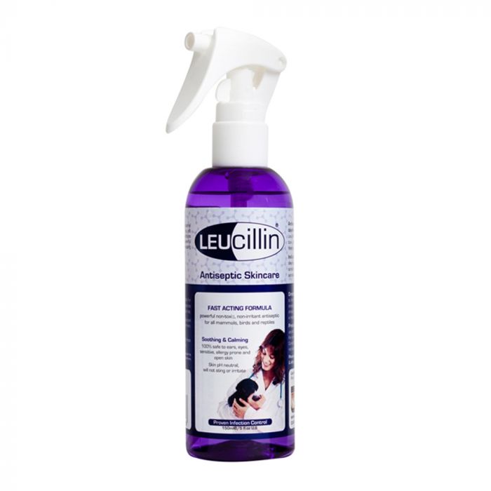 Leucillin spray shop for dogs