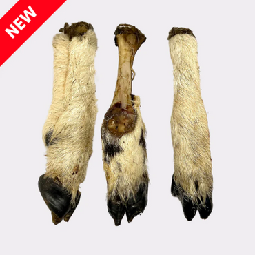 Hairy Lamb Feet 