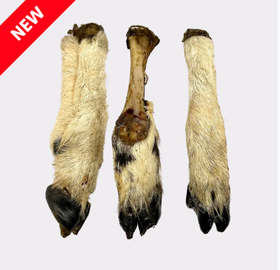 Hairy Lamb Feet 