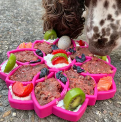 Sodapup - MANDALA DESIGN ETRAY ENRICHMENT TRAY FOR DOGS (excl. 20% VAT)